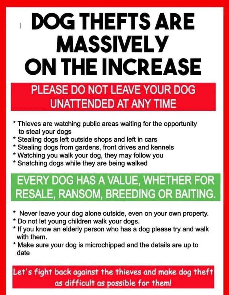 Please retweet, pet theft has increased massively.
Never leave your dog outside a shop or in a car‼️
More information👇
countryside-alliance.org/campaigns/comm…
#dogs #pettheft