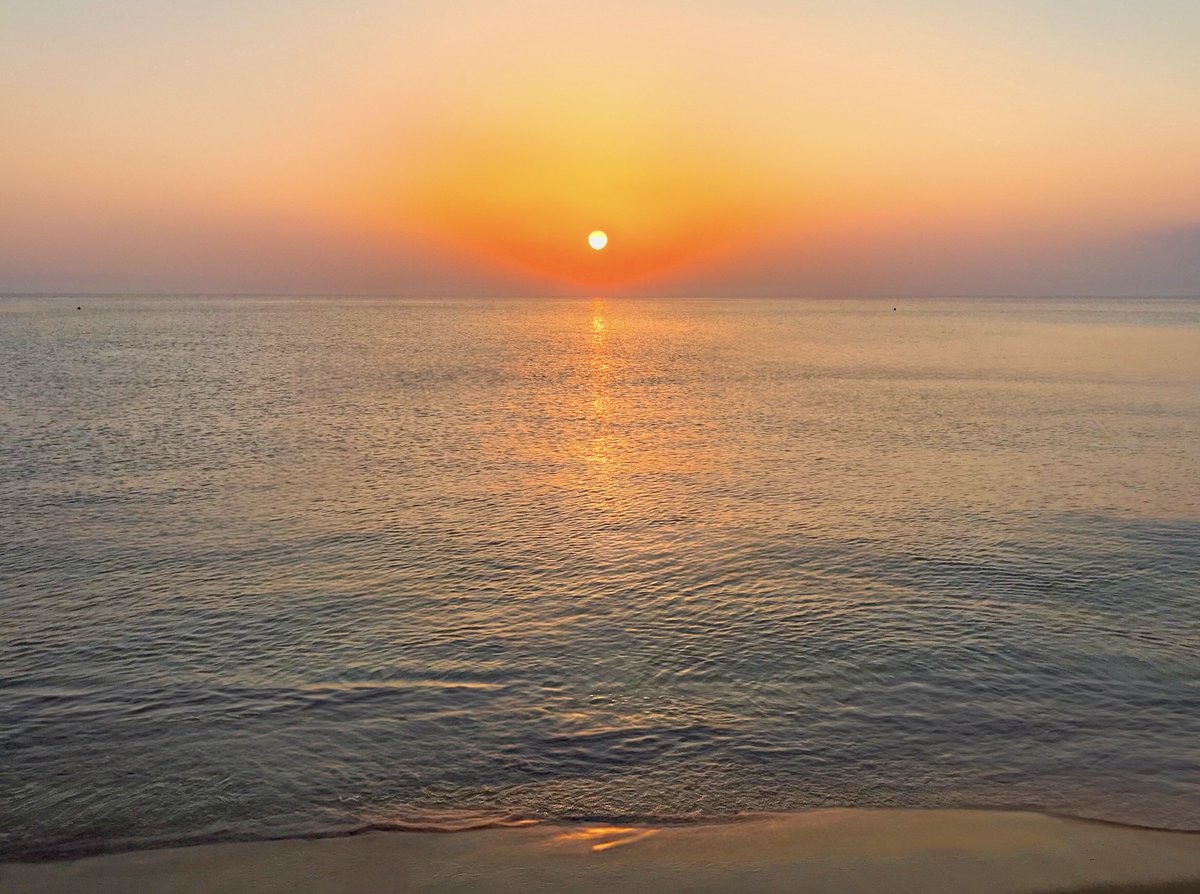 You are truly alive when your heart becomes aware of what treasure you have, and when life decides to throw in a beautiful surprise along your journey, make sure to seize the moment, sail with it with a grateful and loving heart, and make it just perfect!

Good morning!🌊