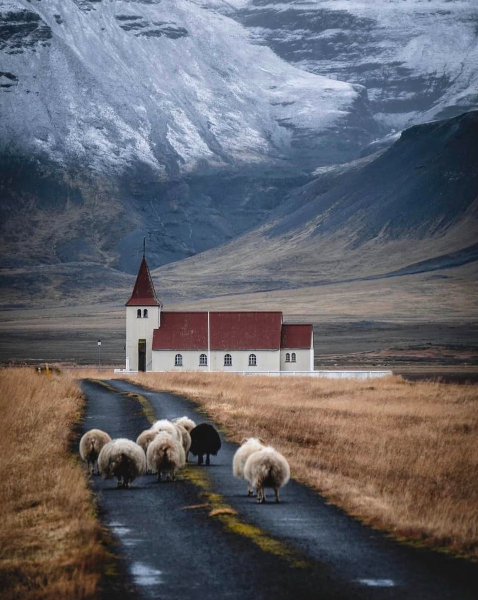 Live_streams_17's tweet image. Learning unbound. AI tutors, personalized paths. Knowledge streams, skills bloom. Education, evolved. #FutureEd