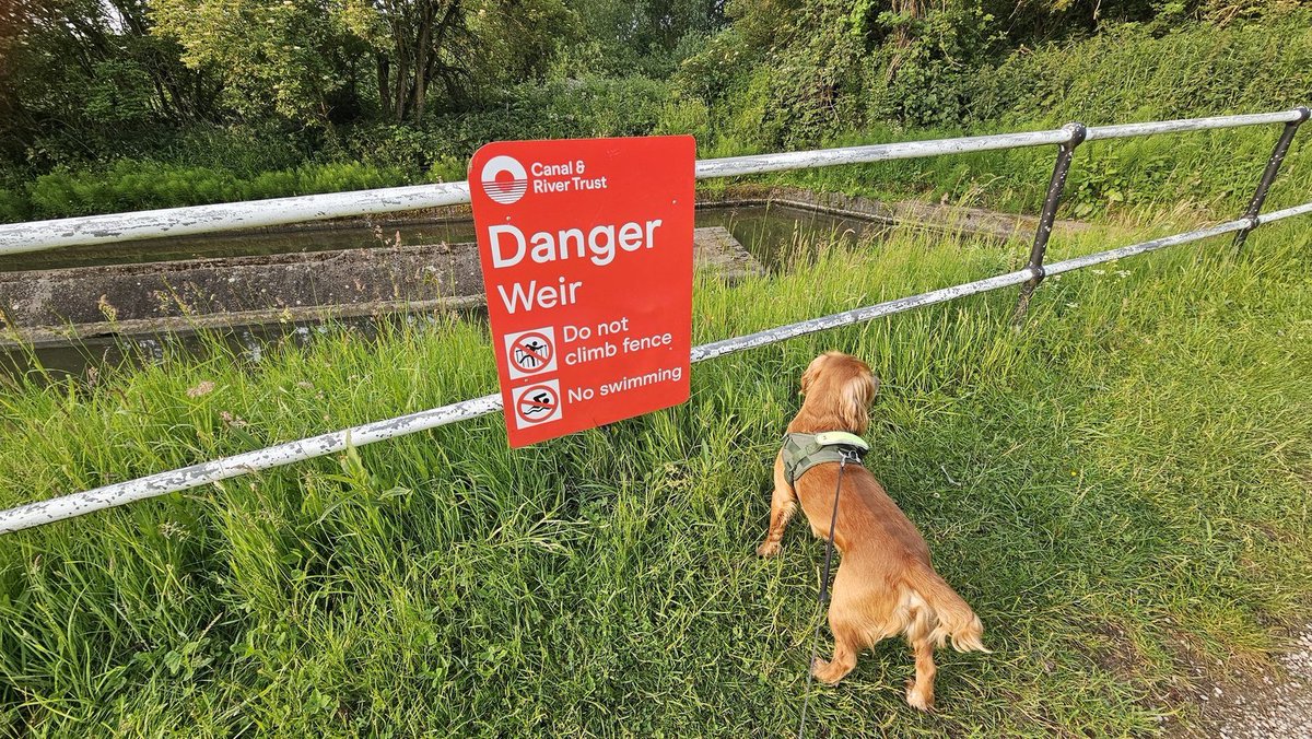 Nice new sign from the <a href="/CanalRiverTrust/">Canal & River Trust</a> Coventry Canal #Nuneaton