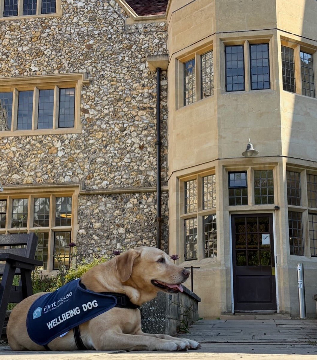 Thanks to the support of #NikkoAM and #AmovaAM, we are happy to welcome #bluepaw back to Flint House this week as part of their PTSD Awareness month activities. 

#support #wellbeing #dogs #helpandheal #ptsdawareness