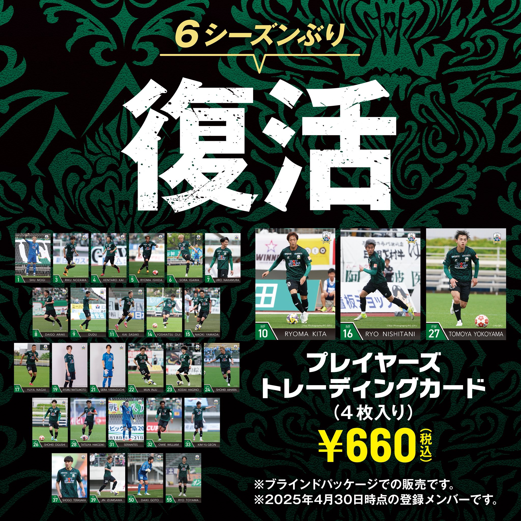 日本最大の 09年 FC岐阜 チーム配布カード 31枚コンプリート