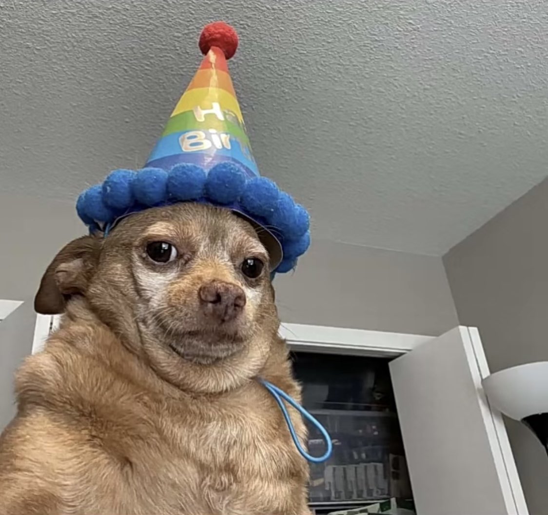 🅵🅸🆅🅴2🆂🅴🆅🅴🅽 🧢❤️ 𝔚𝔬𝔬𝔣 8 tweet media