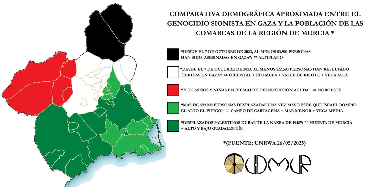 🚩 En este #DíadelaRegióndeMurcia quería visibilizar el genocidio que sigue perpetrando el Estado de Israel contra el pueblo palestino. La Franja de Gaza, del tamaño del municipio de Cieza, sigue sufriendo nuestro silencio cómplice e imperdonable indiferencia. #FreePalestine 🇵🇸