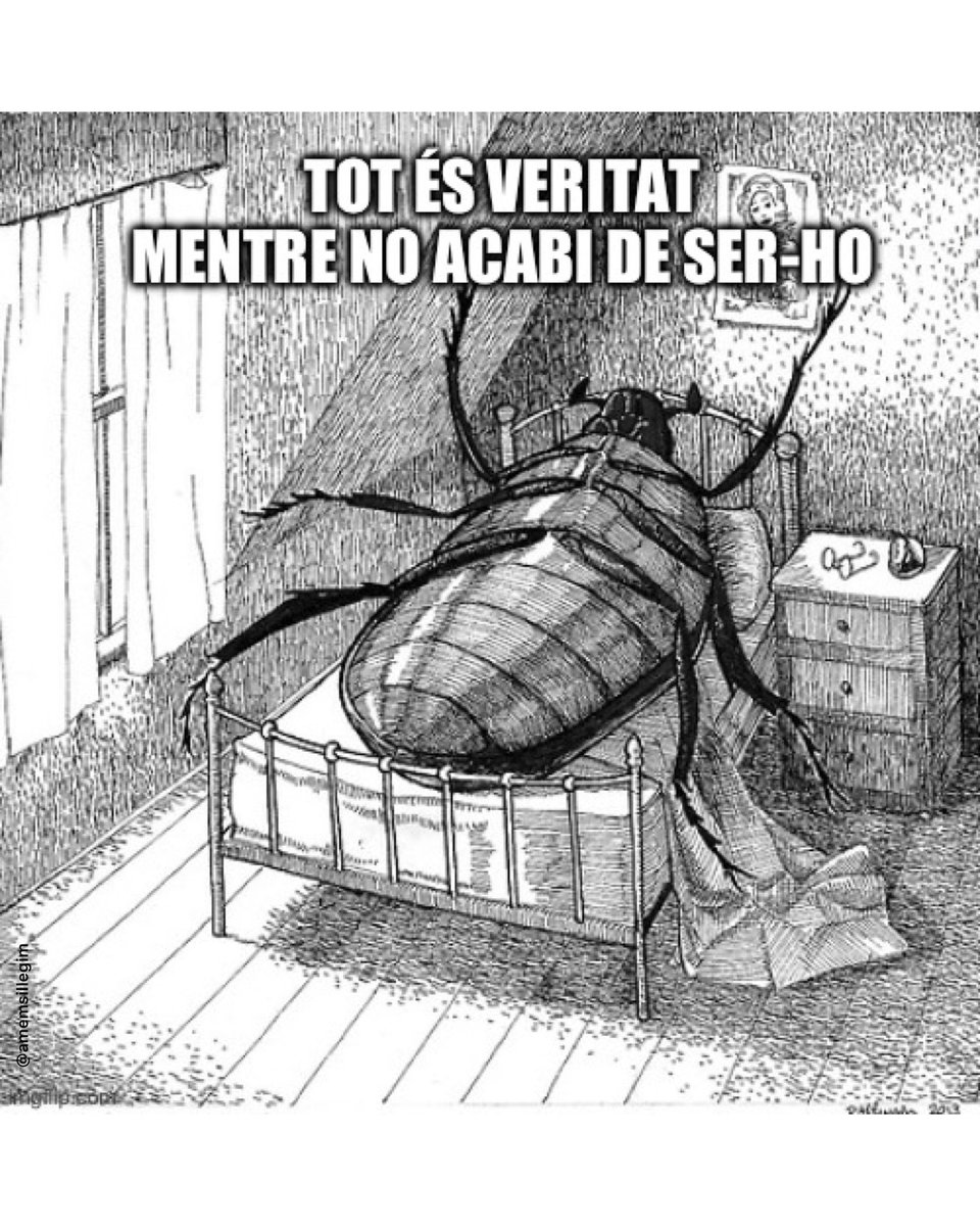 Bon dia amb Blai Bonet!