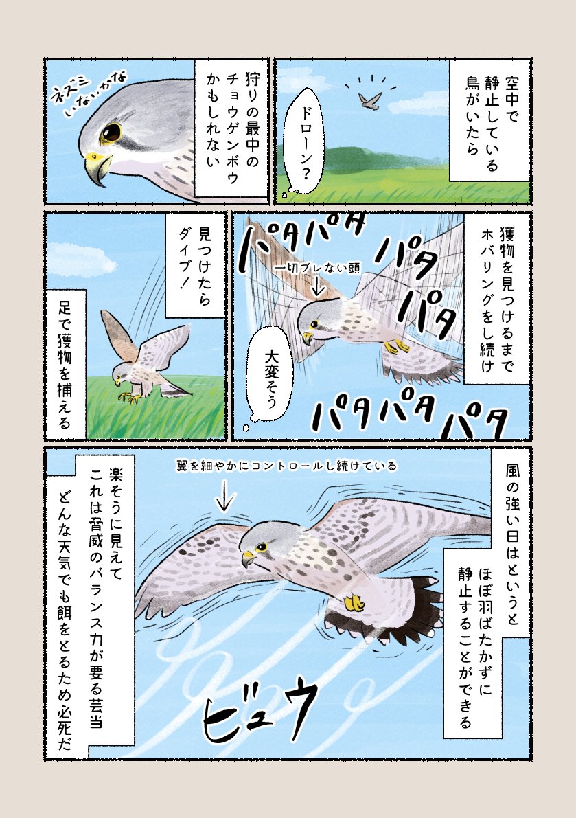 「どっちにしろ大変」
ホバリングする姿は格好良いです! 