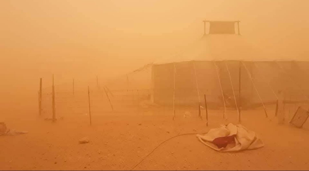 Bon Dia i SÀHARA LLIURE!
✌🏾🇪🇭 ✌🏾🇪🇭 ✌🏾🇪🇭
<a href="/sanchezcastejon/">Pedro Sánchez</a> 
<a href="/Yolanda_Diaz_/">Yolanda Díaz</a>
#ElSàharaNoEsVen
#ElSàharaOccidentalNoÉsMarroc
Mai ho ha sigut i mai ho serà!!!
#FreePalestine 
#FreeGazaFromIsrael