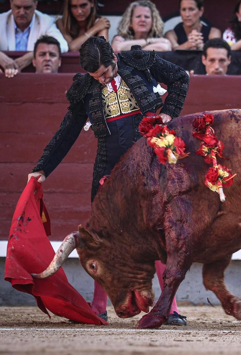 Moranteando 🇪🇸 tweet media