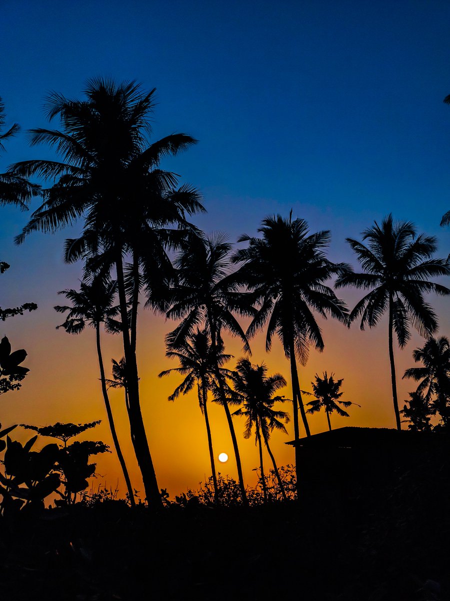 Ajeesh021997's tweet photo. Silhouette Magic With @cmfbynothing 2 Pro
#WithNothing #CMF2Pro
@nothing @nothingindia
@AkisEvangelidis @Technerd_9 https://t.co/sTmN5veRVp