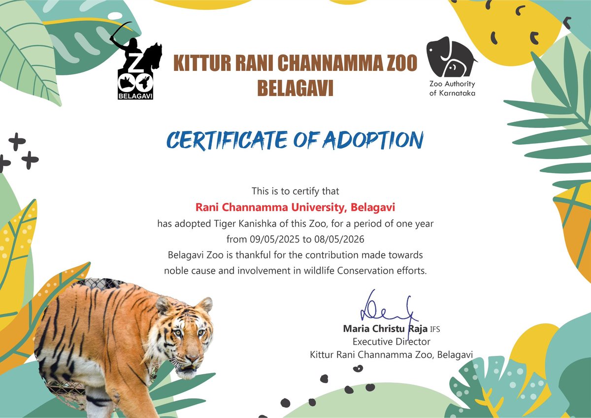 ದಿನಾಂಕ 09.05.2025 ರಂದು ಬೆಳಗಾವಿಯ ರಾಣಿ ಚೆನ್ನಮ್ಮ ವಿಶ್ವವಿದ್ಯಾಲಯದ ವತಿಯಿಂದ ನಮ್ಮ ಬೆಳಗಾವಿ ಮೃಗಾಲಯದ 'ಕನಿಷ್ಕ' ಎಂಬ ಗಂಡು ಹುಲಿಯನ್ನು ಒಂದು ವರ್ಷದ ಅವಧಿಗೆ ದತ್ತು ಪಡೆದು ನಮ್ಮ ಬೆಳಗಾವಿ ಮೃಗಾಲಯದಲ್ಲಿ ನಿರಂತರವಾಗಿ ಜರಗುವ ವನ್ಯಜೀವಿ ಸಂರಕ್ಷಣೆಯ ಭಾಗವಾಗಿರುತ್ತಾರೆ ಎಂದು ತಿಳಿಸಲು ಹರ್ಷ ವ್ಯಕ್ತಪಡಿಸುತ್ತೇವೆ;