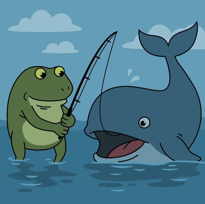 FROGE tweet media