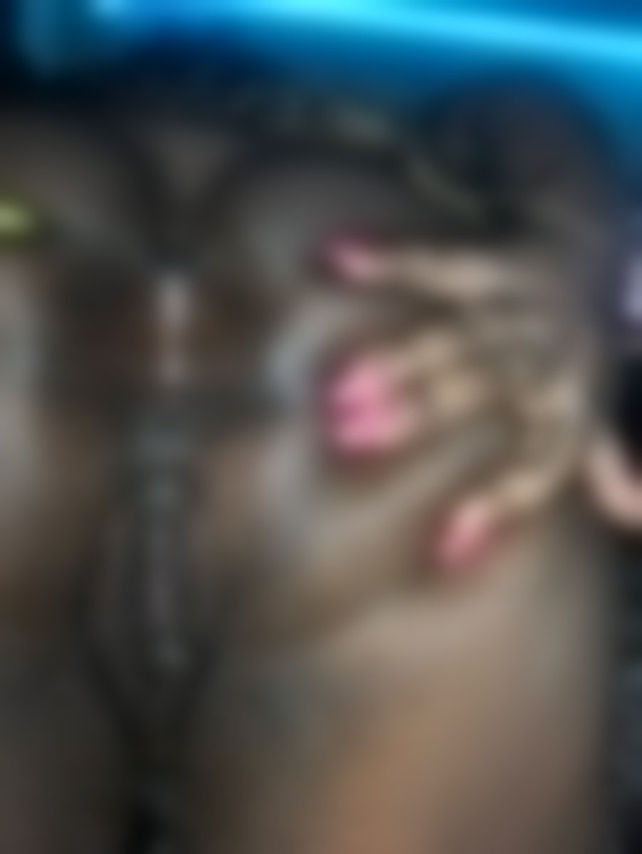 I just posted new content on Scatbook. You can see it at scatbook.com/posts/10544258…