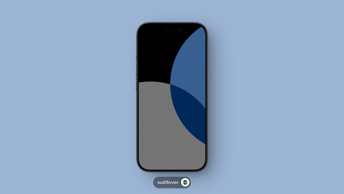 Wallfever tweet media