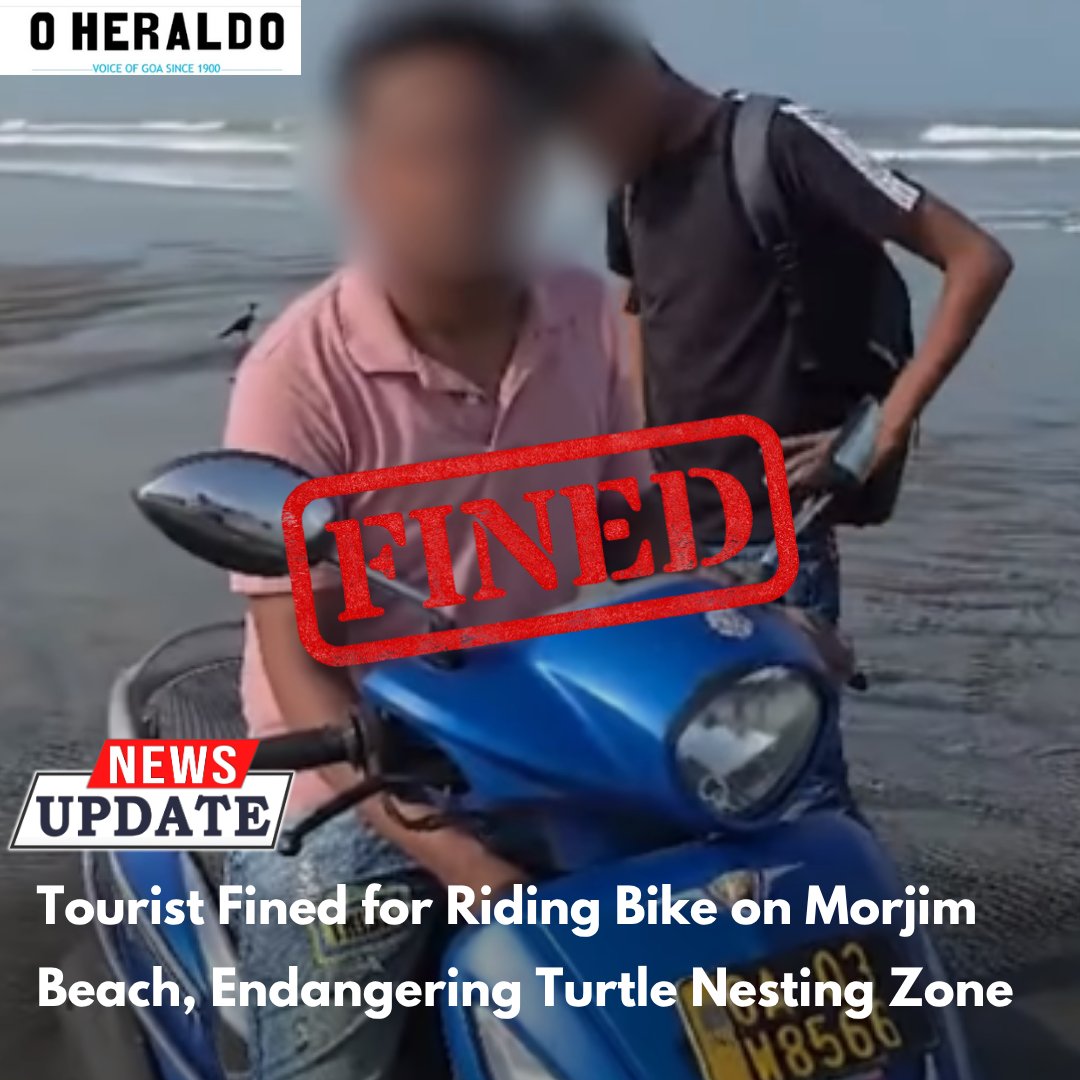 oheraldogoa's tweet image. A domestic tourist has been fined under the Motor Vehicles Act for venturing onto Morjim beach’s sensitive turtle nesting zone, underscoring the need for stricter enforcement to protect vulnerable wildlife.

#morjim #morjimbeach #goa