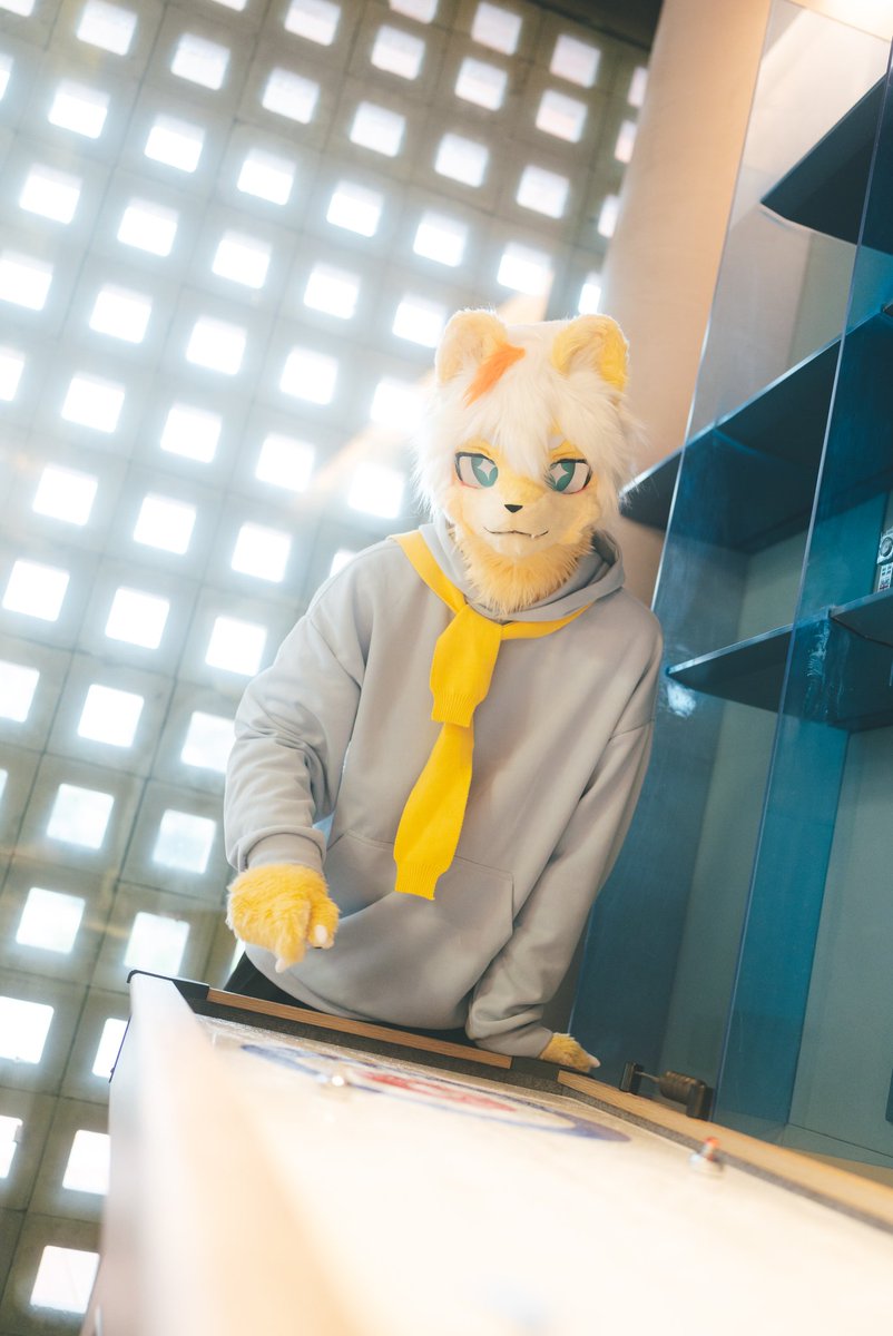 Ariel 🦁🔜関けも (@weeklyariel) on Twitter photo 