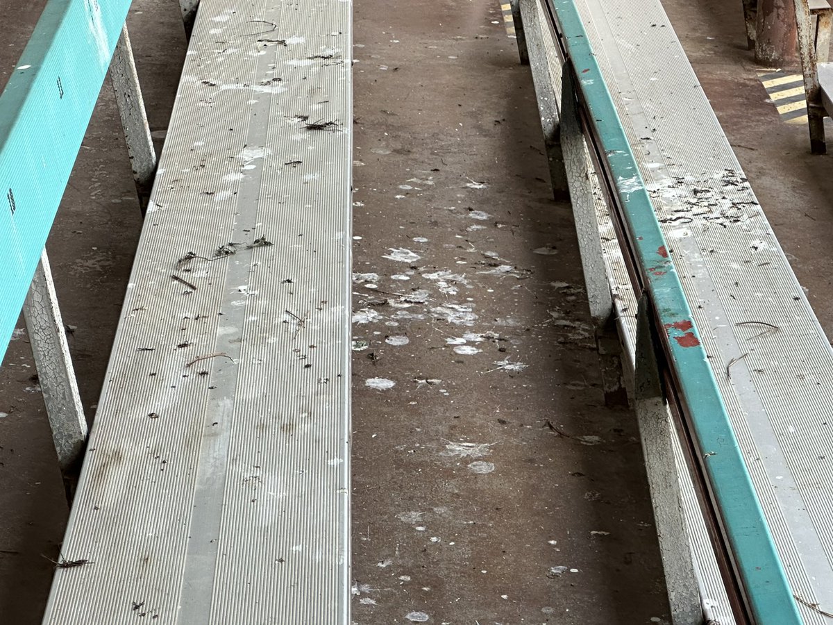 craig (@mlbbestbets) on Twitter photo ⚾️ 165 2025
<a href="/DuluthHuskies/">Duluth Huskies Baseball</a> / <a href="/RochHonkers/">Rochester Honkers</a>
6th Northwoods League game this season
8th lifetime game at Mayo Field
Shitty seats 😂
<a href="/KingcougarMike/">Mike Casiano</a> <a href="/eddiesofficials/">Tike Narry</a> <a href="/rstones199/">Cowboys4Life</a> <a href="/royaltytoursusa/">Gary Herman</a> <a href="/JohnnyKamen/">Johnny kamen</a> ⚾️ 165 2025
<a href="/DuluthHuskies/">Duluth Huskies Baseball</a> / <a href="/RochHonkers/">Rochester Honkers</a>
6th Northwoods League game this season
8th lifetime game at Mayo Field
Shitty seats 😂
<a href="/KingcougarMike/">Mike Casiano</a> <a href="/eddiesofficials/">Tike Narry</a> <a href="/rstones199/">Cowboys4Life</a> <a href="/royaltytoursusa/">Gary Herman</a> <a href="/JohnnyKamen/">Johnny kamen</a>
