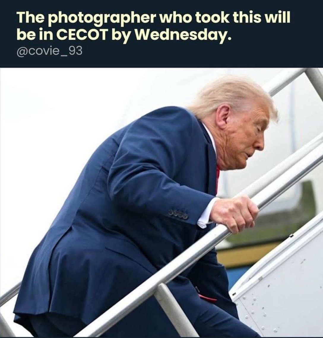 AnnieForTruth's tweet photo. 😂 https://t.co/QIhXfswFO4