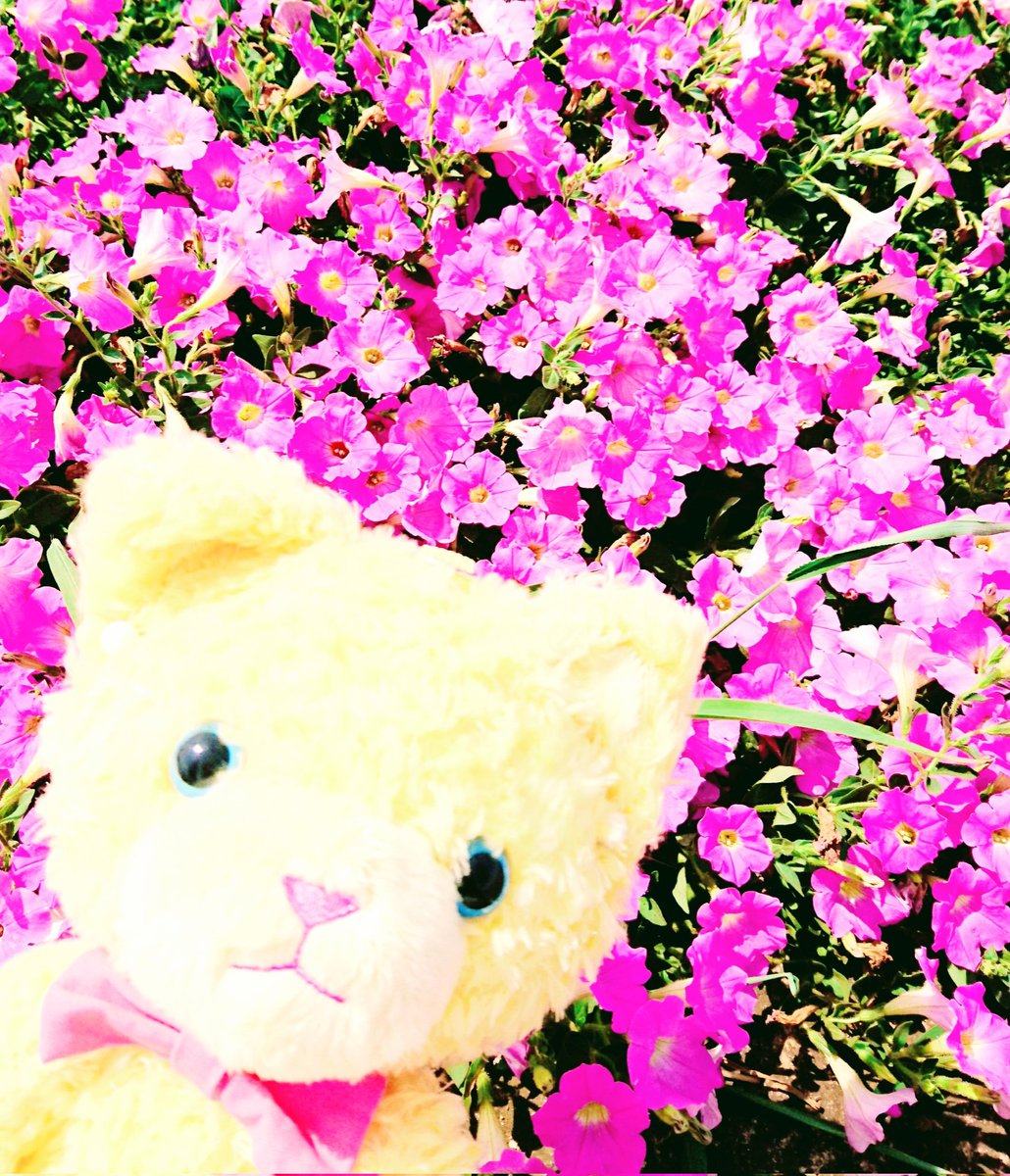 mtrnf29's tweet photo. 翔ちゃんお誕生日おめでとう🎂🎉
ずっと大好きです🌸

#utapri_syo_BD2025 https://t.co/XtuwsLNJr9