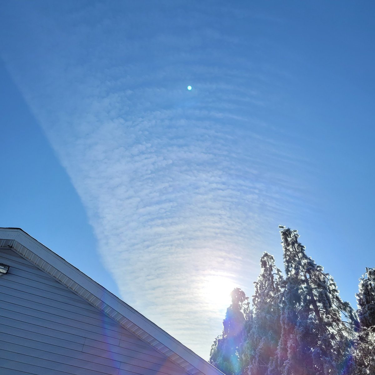 ChristoffJim's tweet image. This Tuesday after the devastating ice storm in Petoskey MI. Over 1 inch of ice to melt on power lines and trees . No respectful response from any government officials. But Whitmer made a X video like she cared