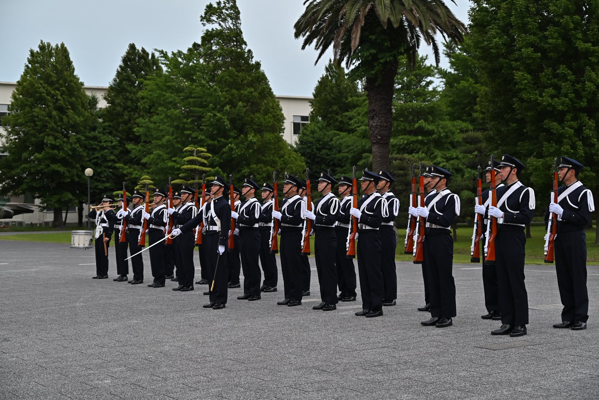 642防衛大学校 98年度版 世界思想社教学社 単行本 642防衛大学校 98年度版 世界思想社教学社 単行本