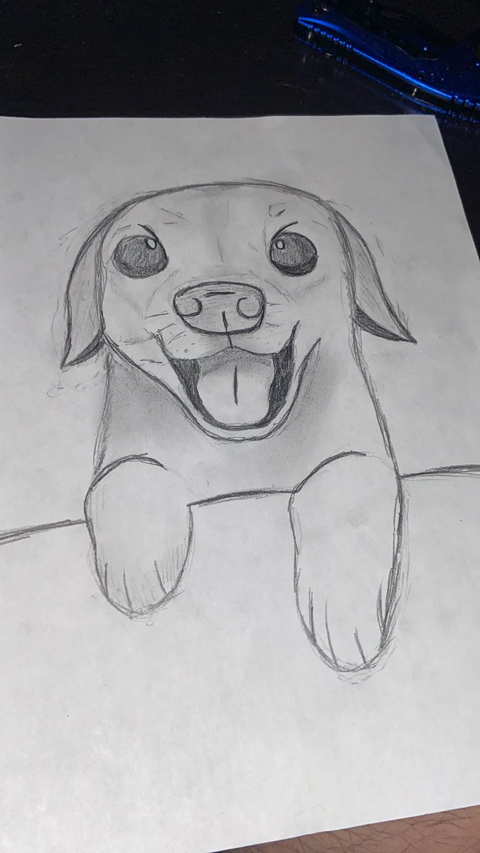 My little sibs ask draw a dog for them its been years I draw but hey I think turn out great tho 😊

#drawing