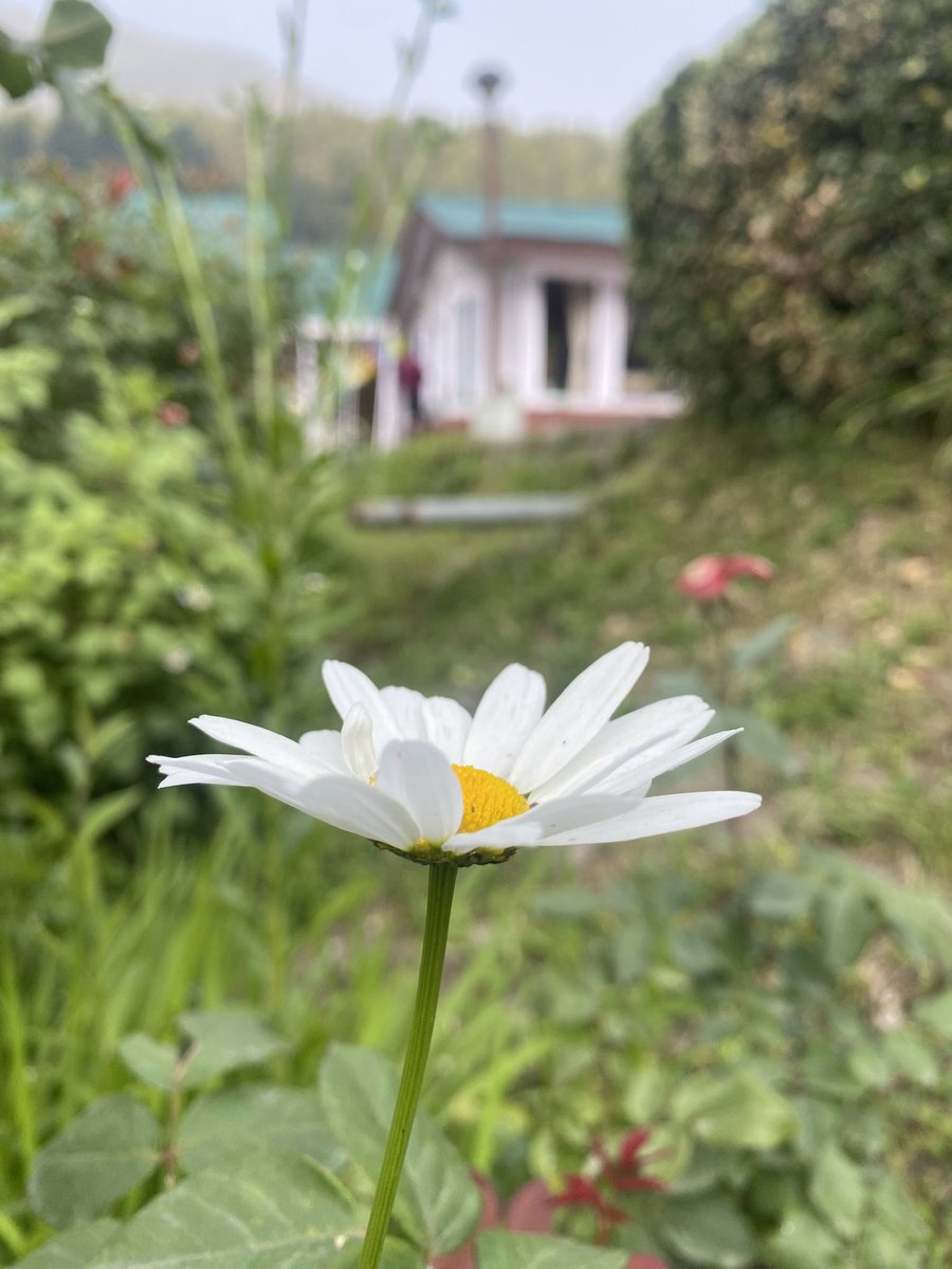 Good morning all my beautiful friends 🙏💐🍫