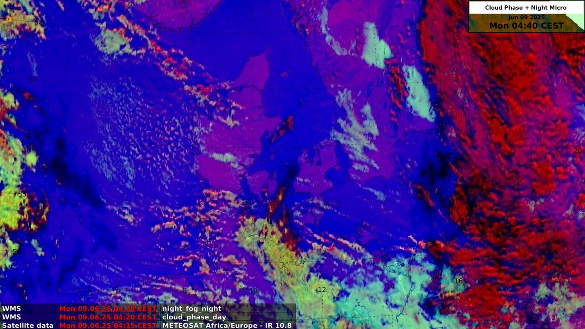 Wetter in Dänemark am 2. Pfingsttag: Beste Bedingungen für Royal Run-Teilnehmer