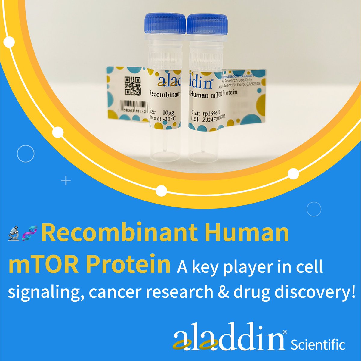 🧬 Recombinant Human mTOR Protein – A key player in cell signaling, cancer research &amp; drug discovery! High-purity &amp; bioactive for kinase assays &amp; pathway studies.

Order now at Aladdin Scientific: aladdinsci.com

#mTOR #CellSignaling #KinaseAssay #CancerResearch