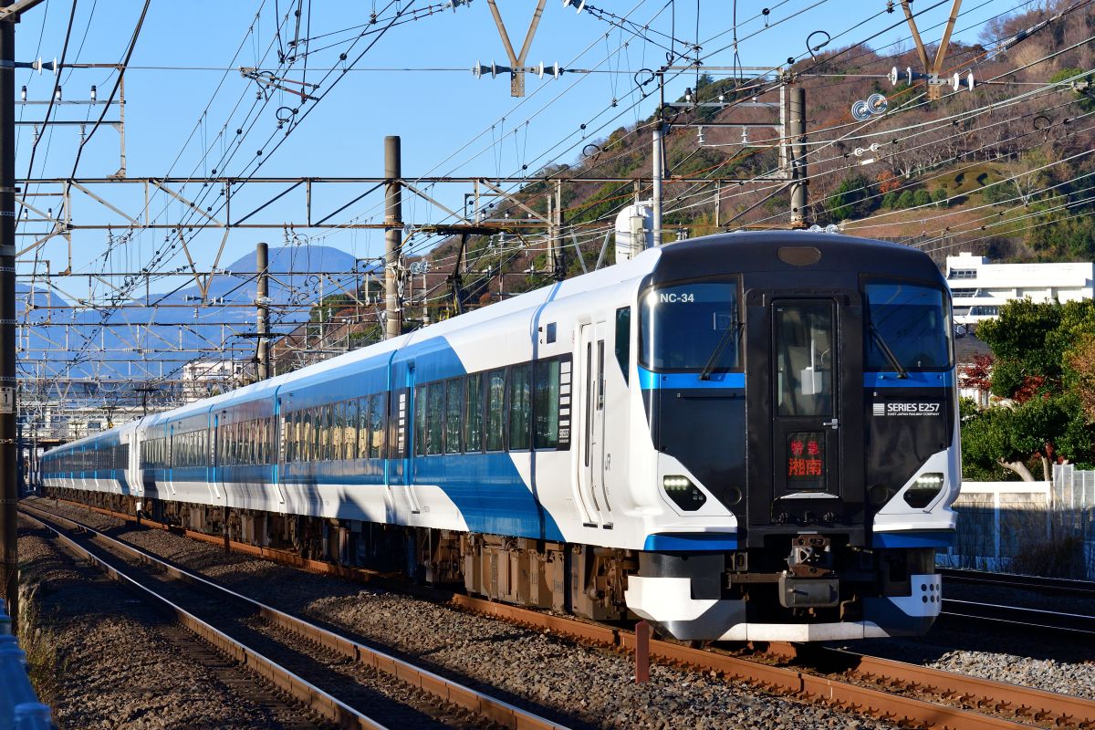 海辺の踊り子 E257系 特急「踊り子7号」で楽しむ真夏の絶景！海沿いの東海道線 熱海