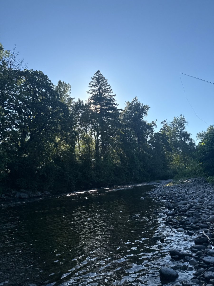 Ben__McDowell's tweet image. 6am fishing
4pm timbers game
9pm sleepy time