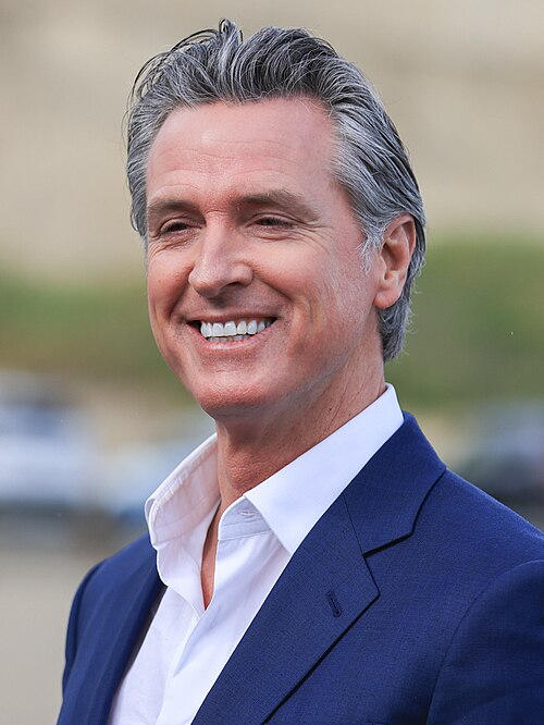 On a scale of 0-10 Rate Gavin Christopher Newsom 40th governor of California's performance so far.