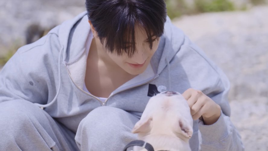 순간의 현재 tweet media