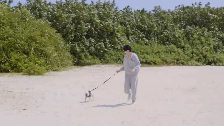 순간의 현재 tweet media