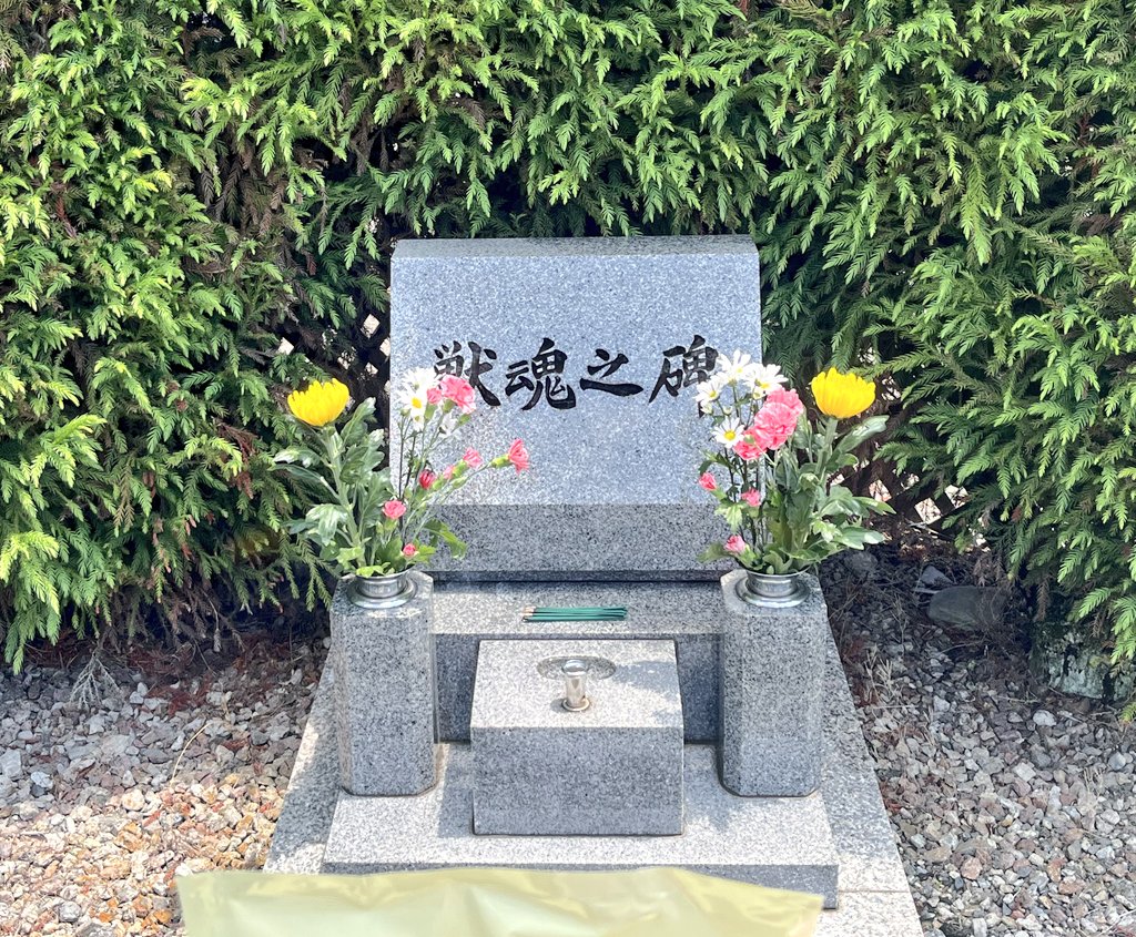 先日、獣魂祭を行いました。

飼育場にいる動物たちの高齢化が進み、看取る機会が増えました。

改めて亡くなった動物たちには感謝を伝え、現在飼育している動物たちが一日でも長く元気に暮らせるよう祈りました。