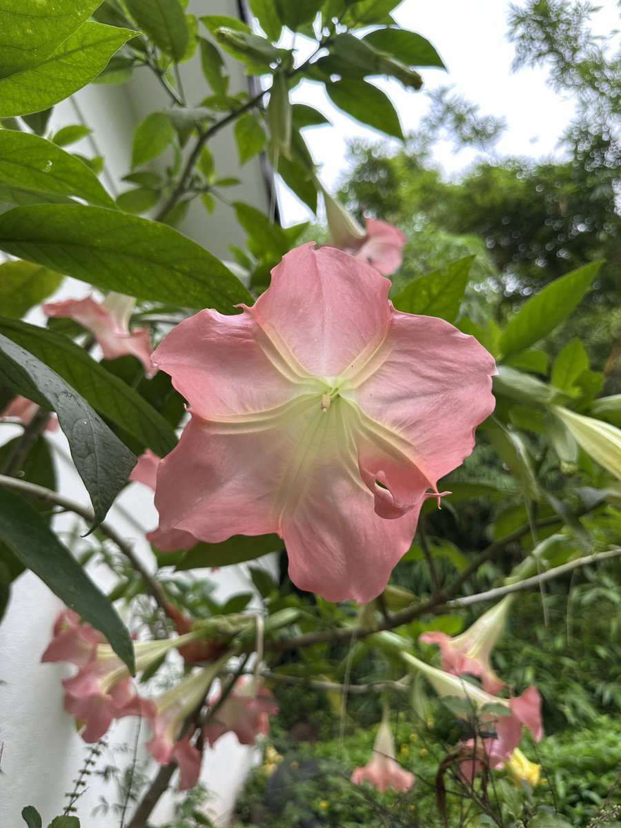 satty❤️❤️ tweet media