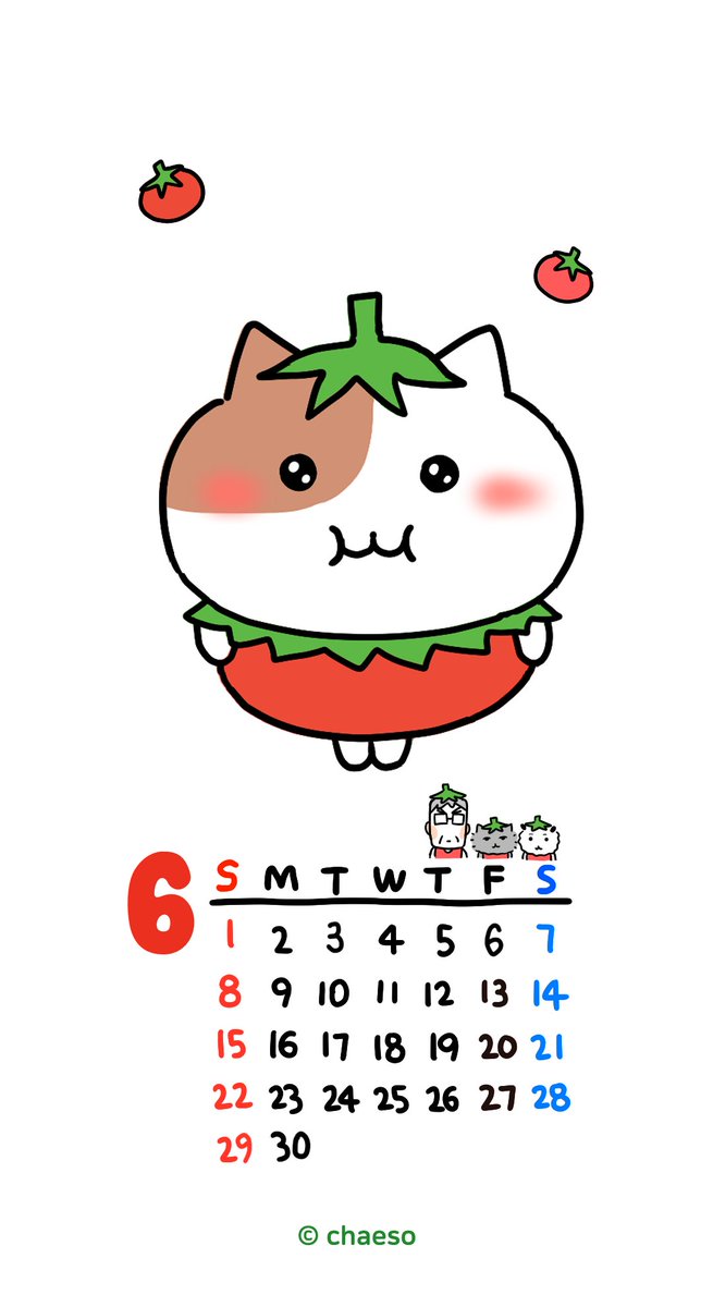 6月の待ち受けはトマトにゃみ🍅 （遅くなってごめんね🍅） #もちにゃみ