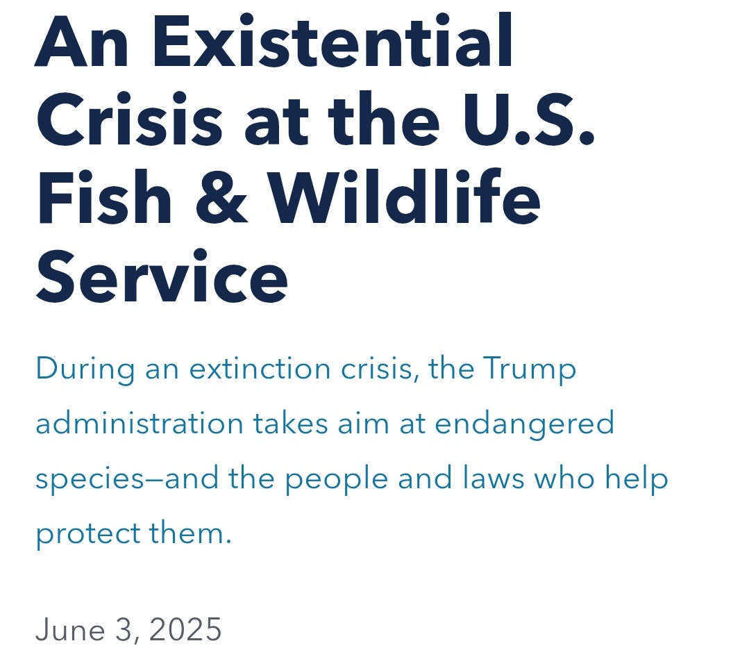 StreetTreck's tweet image. ♻️An #ExistentialCrisis @ #USFishnWildlifeService.
#During an #extinctioncrisis, #Trumpadministration #takesaim @ #endangeredspecies n #people n #laws who #help #protect them🛤️

@USFWS #conservationlaw #USA #esa #endangeredspeciesact #StreetTreck🛤️
