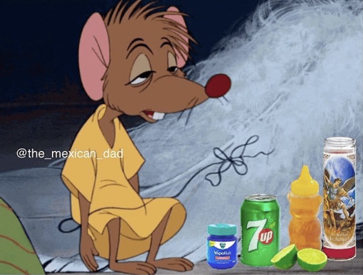 Cass. (@wildlycass) on Twitter photo 