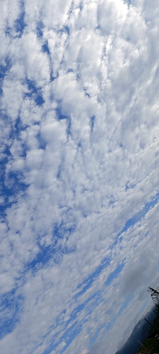 Hoy 8 de junio, fiesta de Pentecostés; una gran solemnidad que conmemora la venida del Espíritu Santo sobre los apóstoles y, por lo tanto, el nacimiento de la Iglesia Católica. 🙏🏼🤍