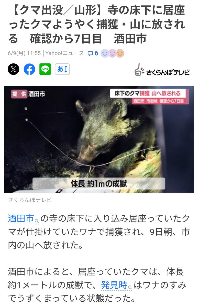 放獣されてよかったです。32キロは軽いですね。あのまま衰弱死しなくて