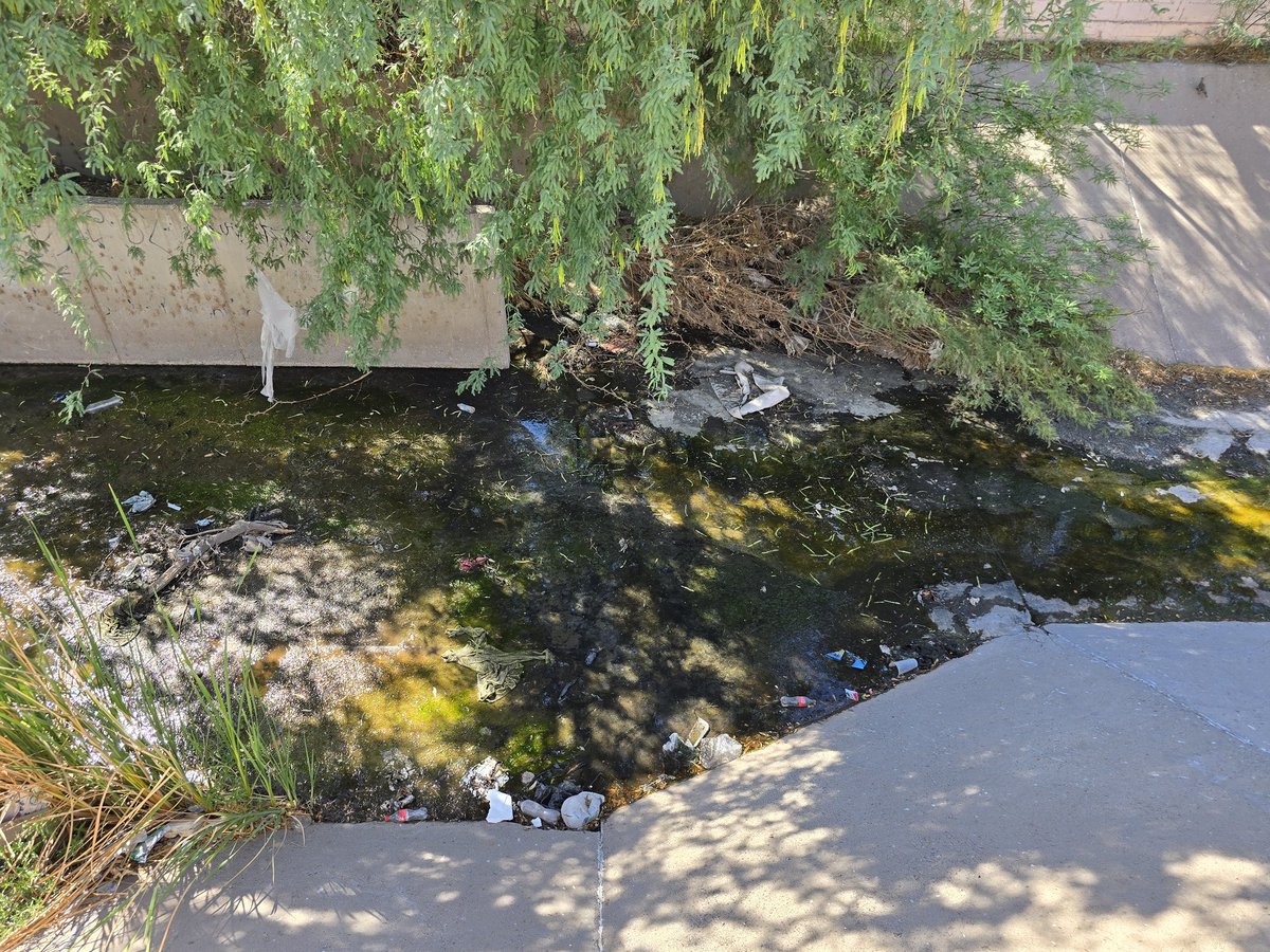 Imágenes del canal de la calle Fco Salazar entre Navarrete y Colosio. A quien corresponde su limpieza? <a href="/HermosilloGob/">Gobierno de Hermosillo</a> <a href="/CEASonora/">CEA Sonora</a> <a href="/conagua_mx/">Conagua</a>