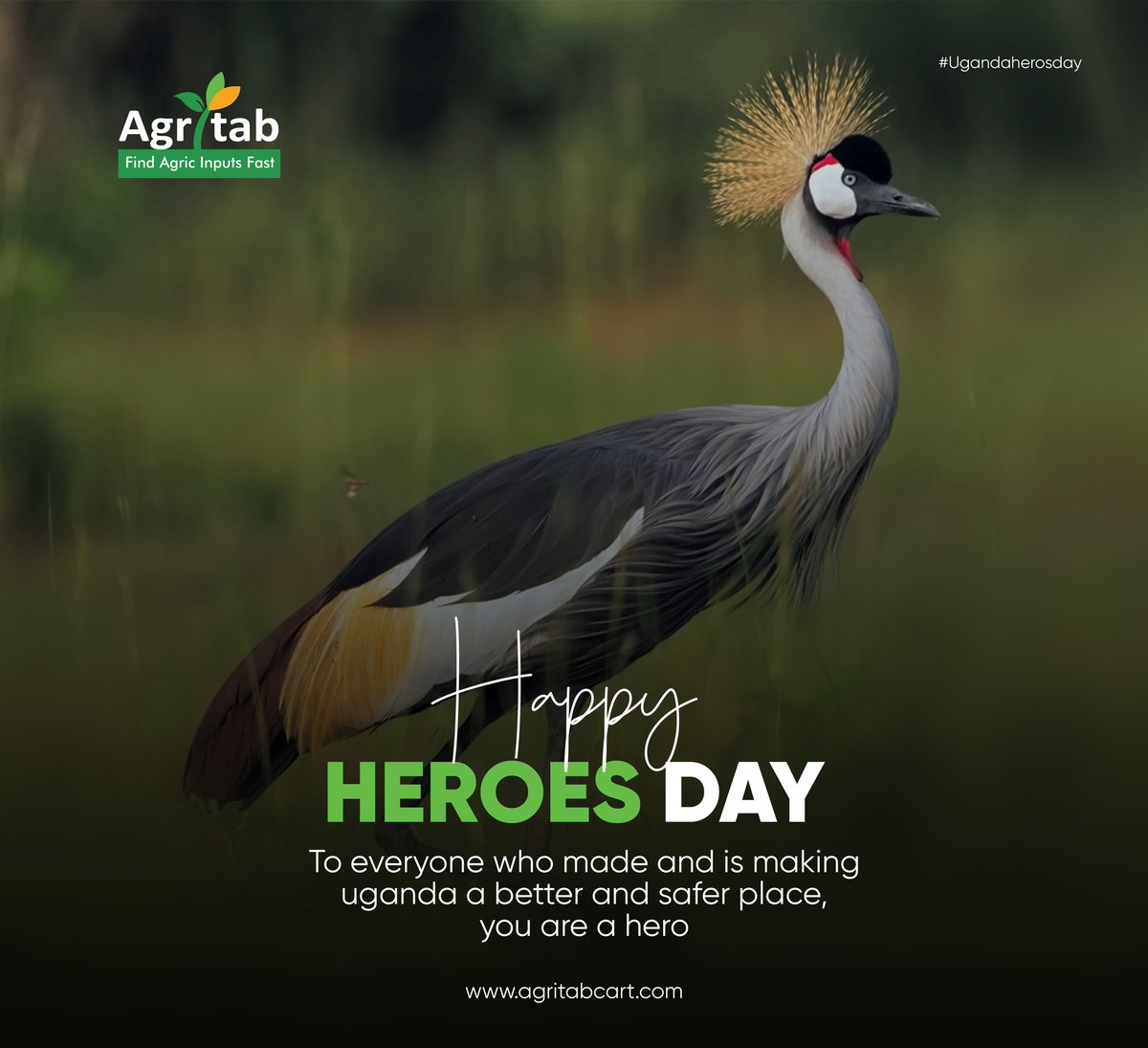 agritabcart's tweet photo. Wishing a warm and Happy National Heroes Day to everyone. Let us inspire each and every heart that beats in this country to make a country full of patriotism.
#agritabcart #agricinputs #happyheroesday2025 https://t.co/UjoBmAUNvh