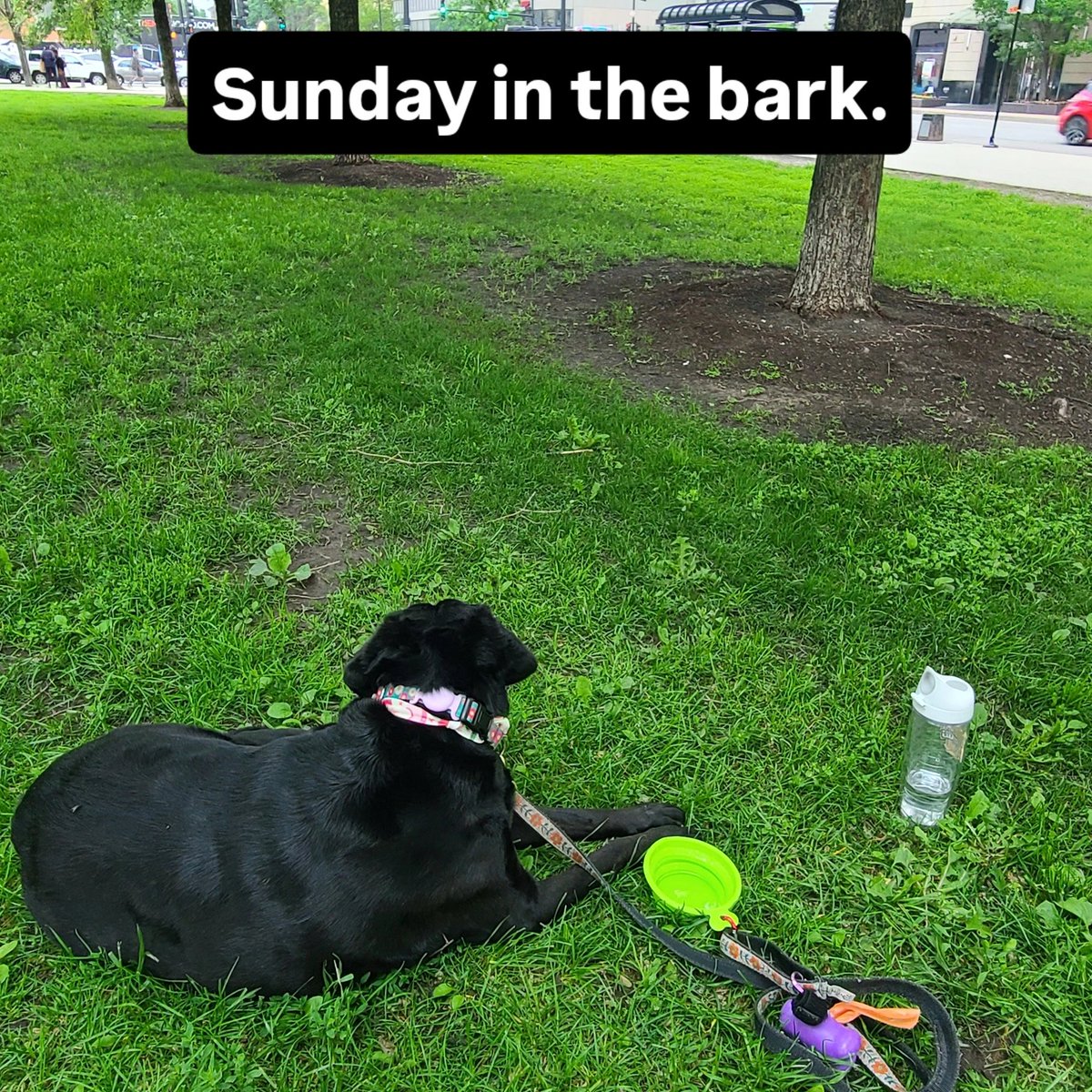 Doug K. (@dougkeally) on Twitter photo 