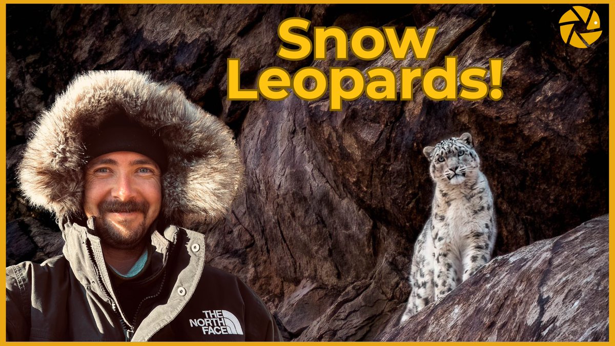 NEW VIDEO: In our latest destination video, we join Pangolin Photo Host William Steel, as he fulfils his childhood dream of photographing snow leopards in the wild Himalayas.

WATCH WILLIAM'S SHORT FILM HERE - youtu.be/_QlNj15lm0A