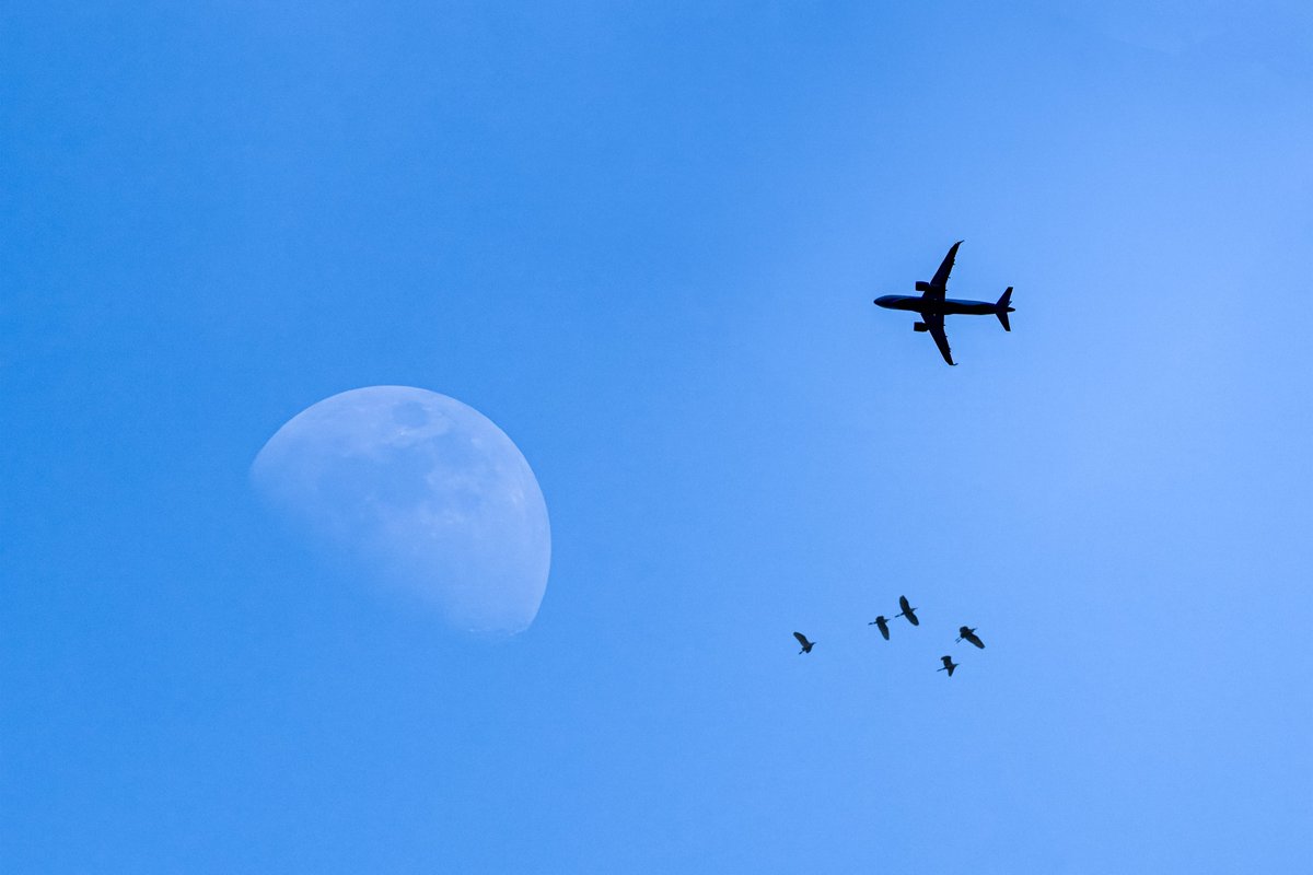 QT your moon 🌘📷 or painting

To The Moon &amp; Back 
Limited Edition - 0.015 ETH
app.manifold.xyz/c/tothemoonand…

Location - Durgapur, WB, India
Year - 2023
Camera - Nikon D850
Lens - Nikon 500 mm AF-P