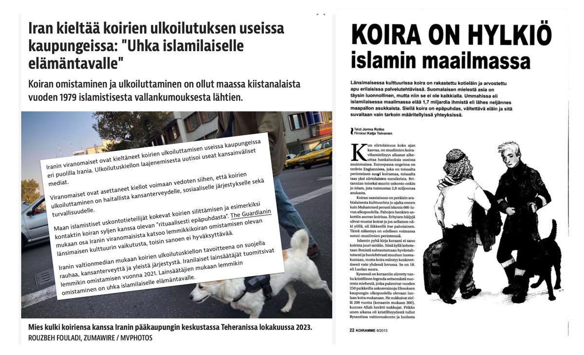 Vuonna 2013 Jorma Rotko kirjoitti artikkelin ”Koira on hylkiö islamin maailmassa”, Koiramme-lehteen.

Asiantunteva artikkeli sai julkisuudessa aikaan valtavan paskamyrskyn. 

Erityisen hyviä ja valveutuneita ihmisiä edustavat Ei vihapuheelle -liike, Ensi- ja turvakotien liitto,
