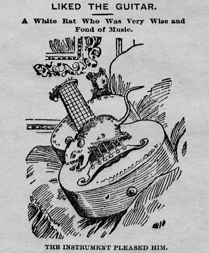 Yesterday's Print (@yesterdaysprint) on Twitter photo Perrysburg Journal, Ohio, June 9, 1894 Perrysburg Journal, Ohio, June 9, 1894