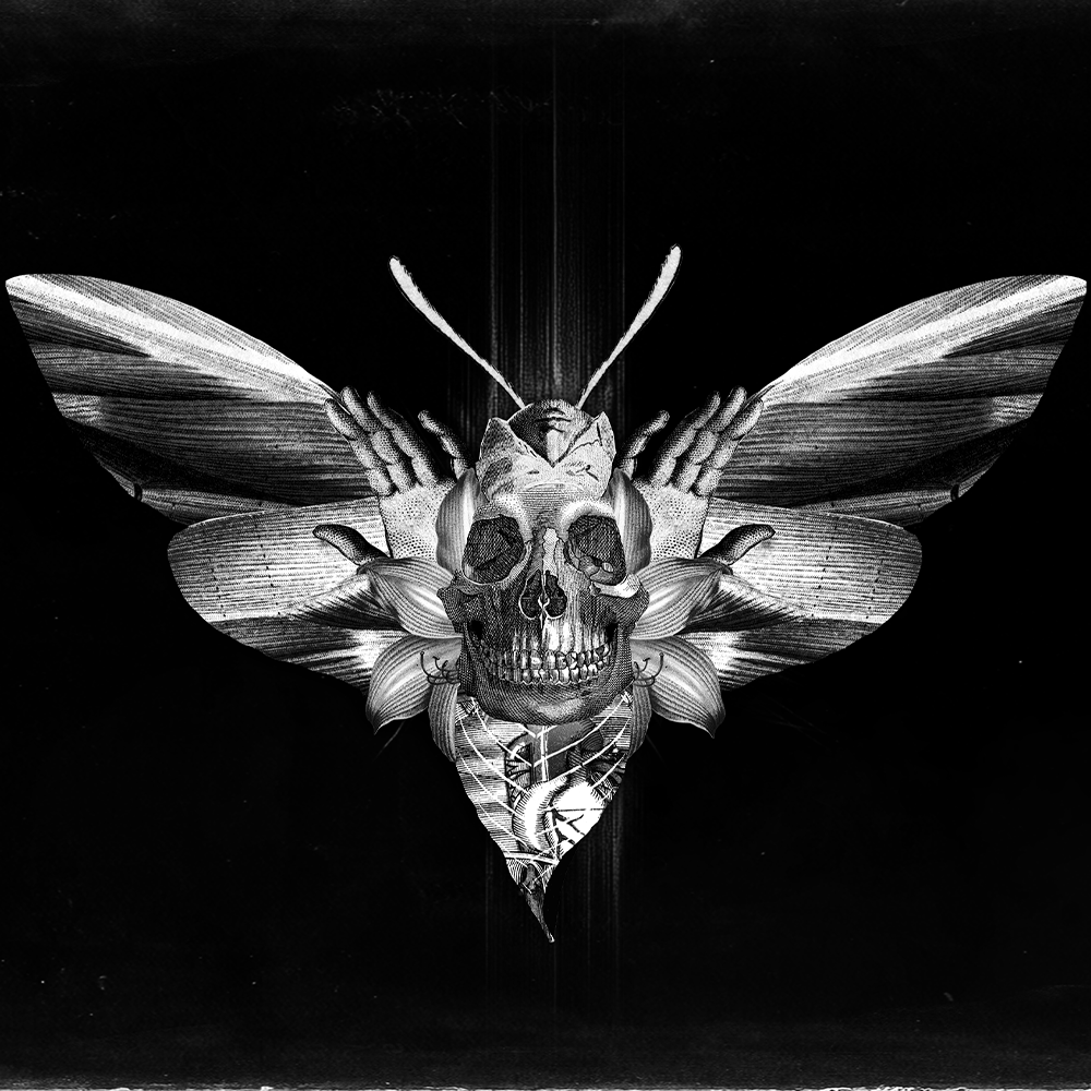 Causality : The Ones Left Behind tweet media