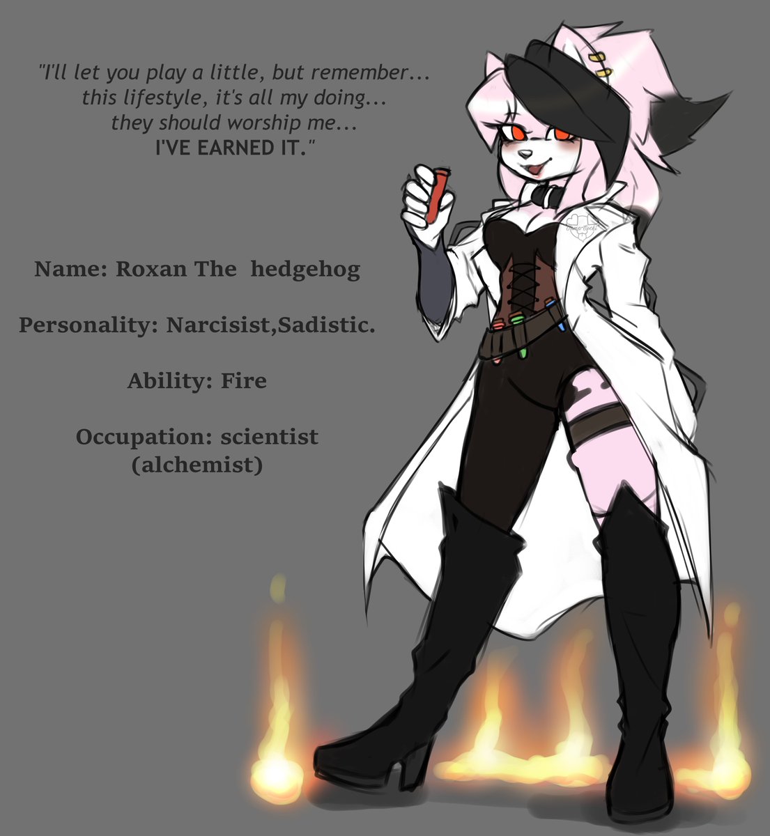 Roxan sketch redesign