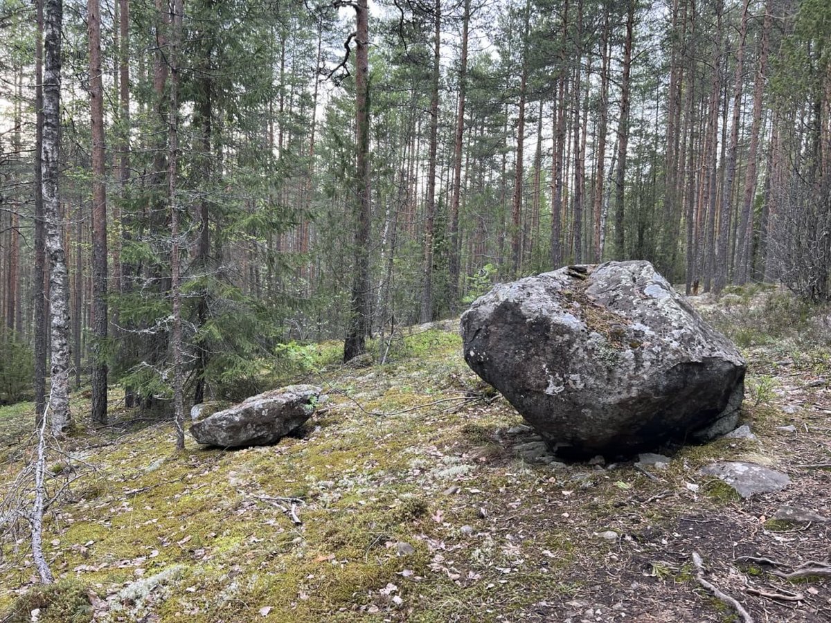 Brave warriors and noble souls, who gave their young lives for the idea of National Karelia, live on in memory – eternal symbols of freedom, sacrifice, and Northern pride.

Хабара: x.com/KKLKND/status/…

Ямал: x.com/KKLKND/status/…

Kunnia ja Muisto

#FreeKarelia
